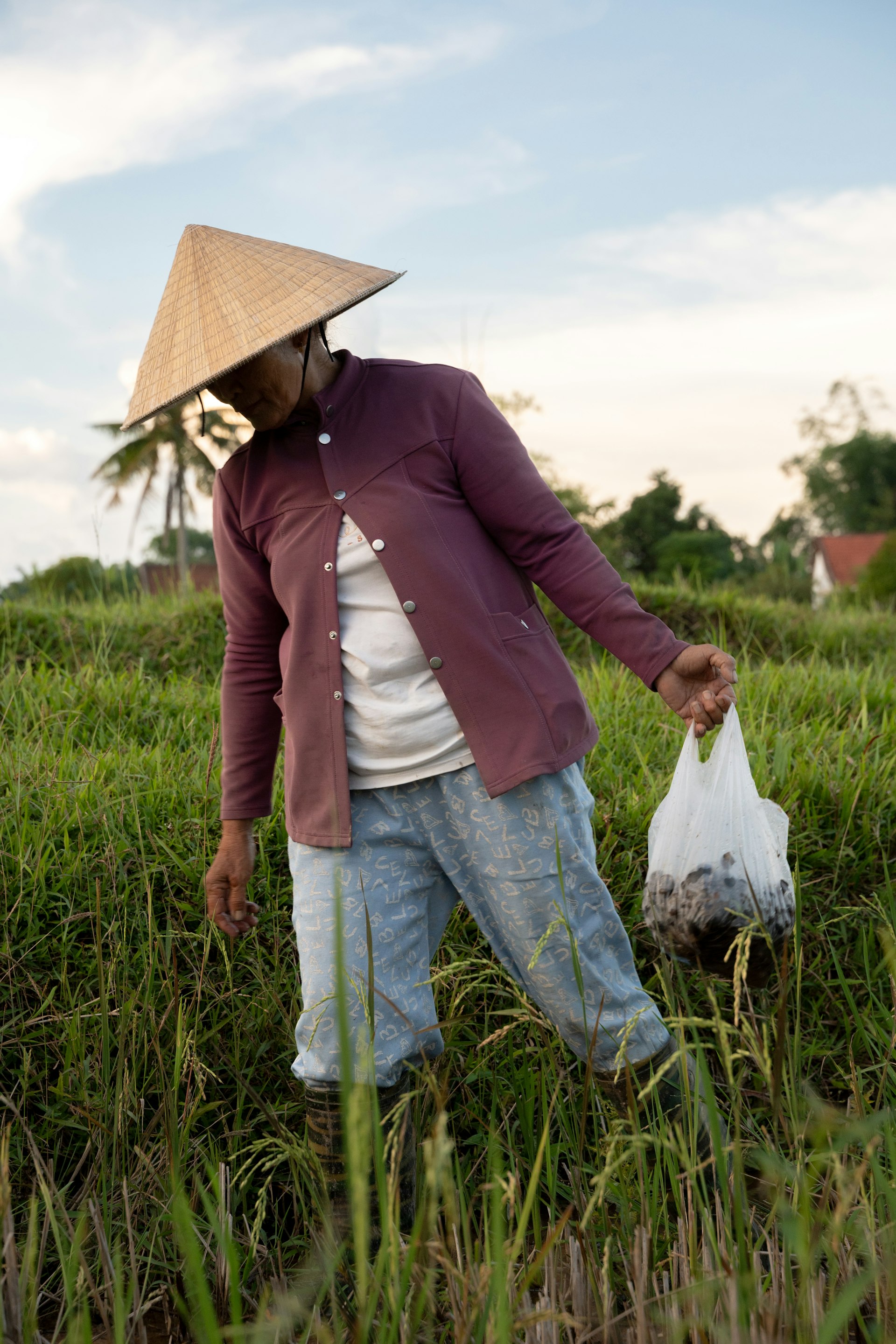 Farmer working in a Vietnamese rice field