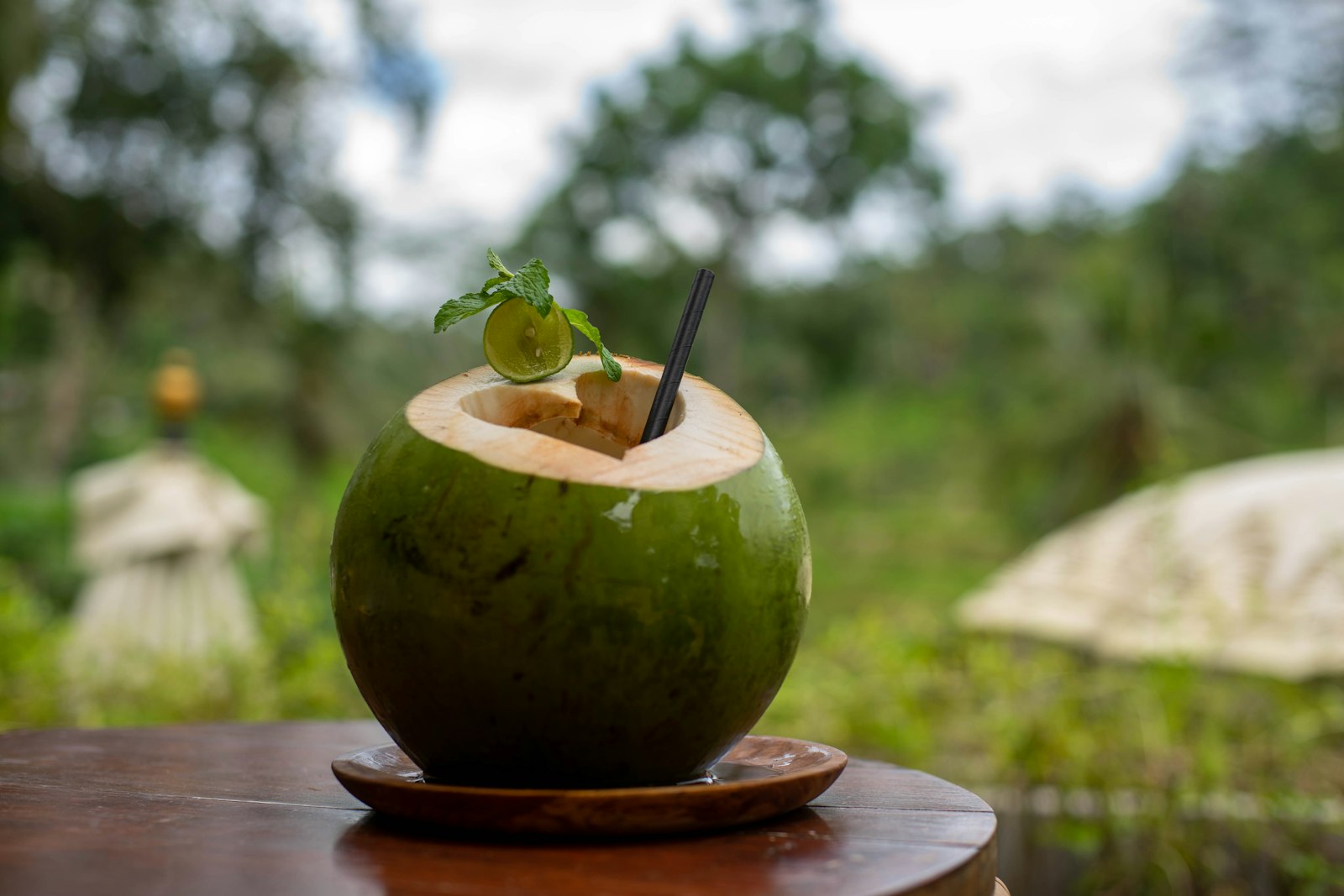 Coconut Water (Canned) Organic