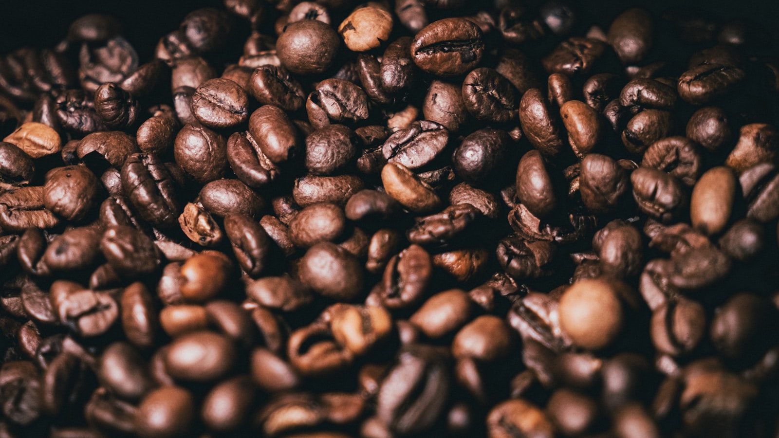 Culi Robusta Coffee Beans Fine Robusta
