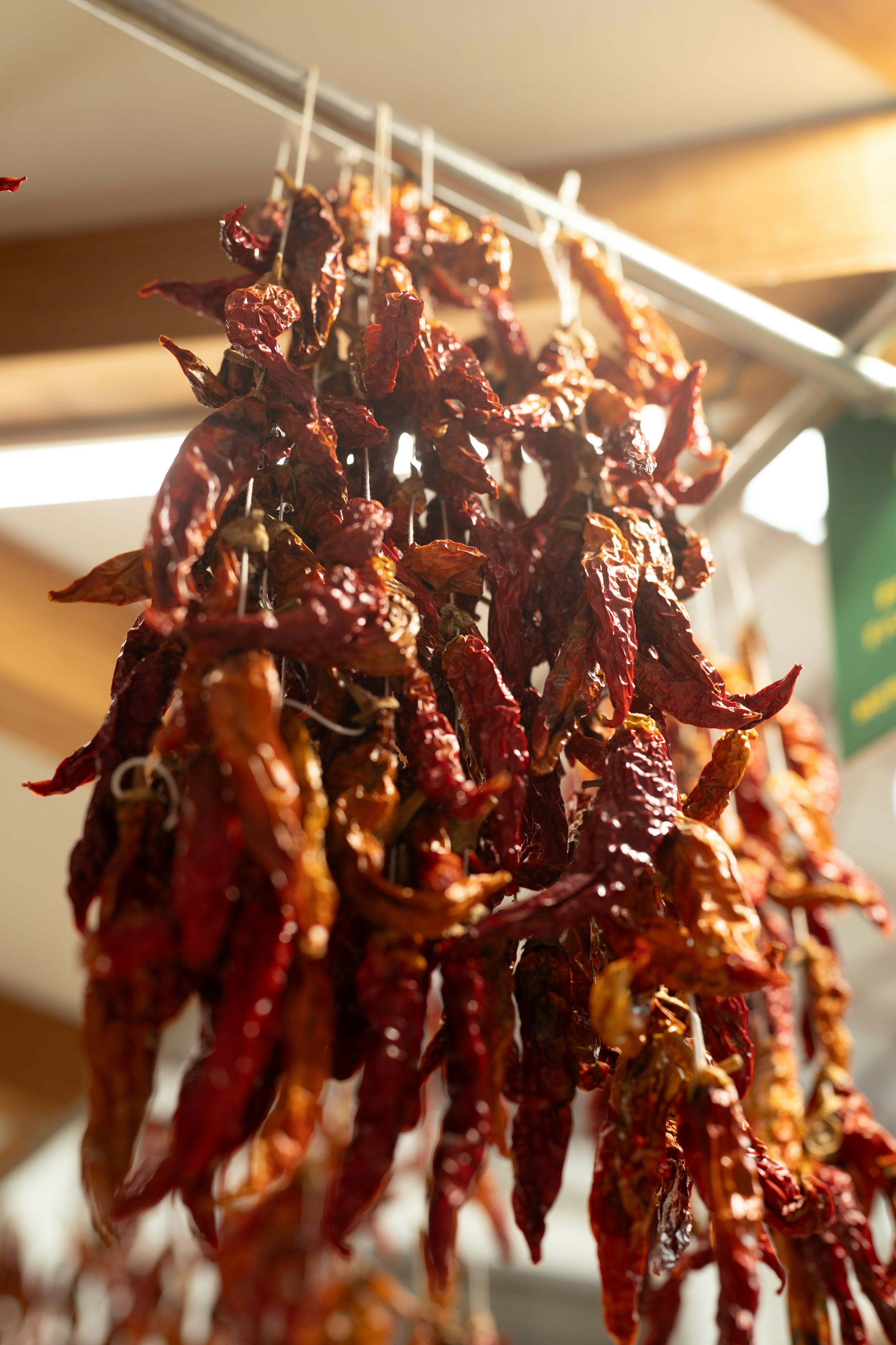 Chili Organic