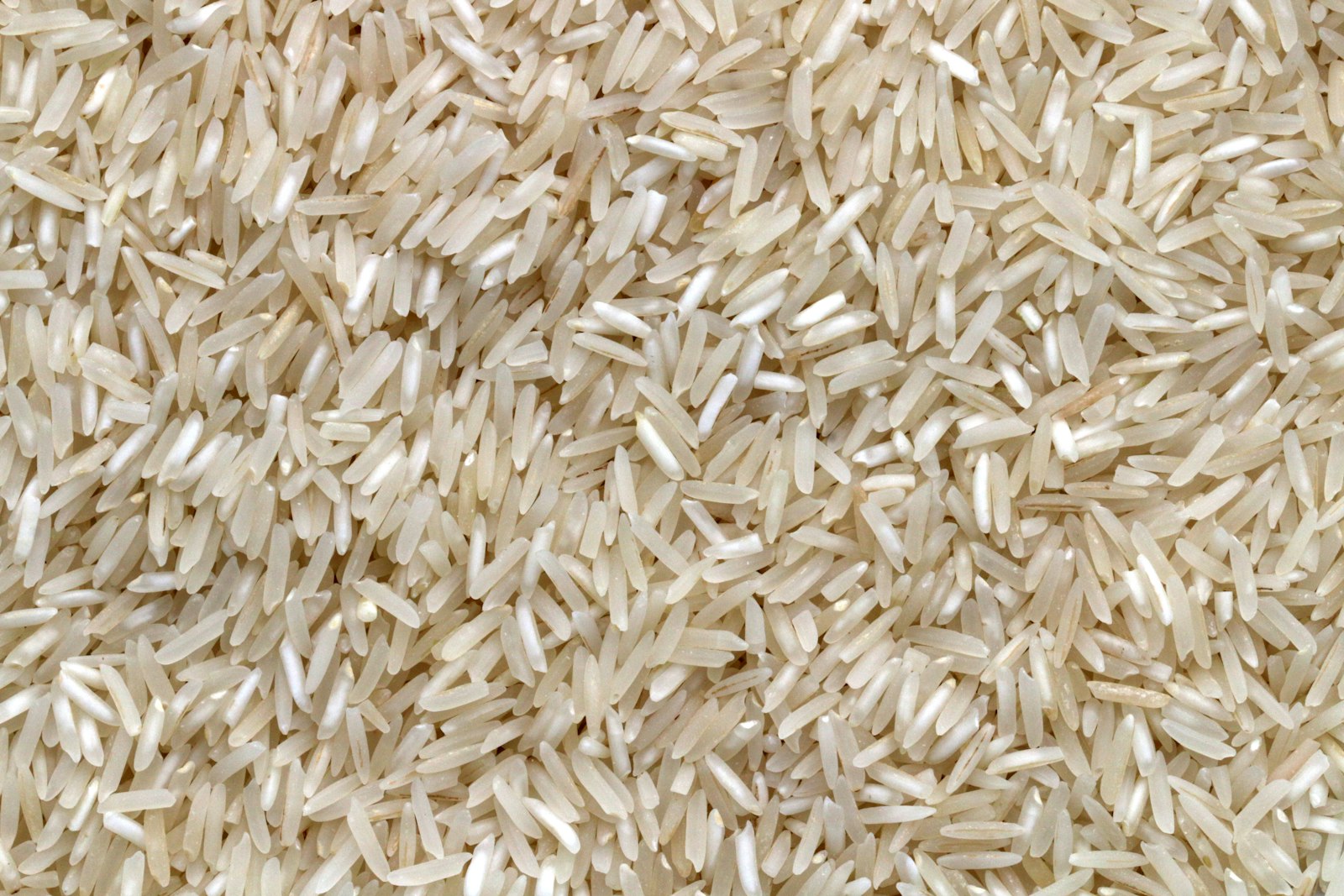 ST25 Fragrant Rice Premium