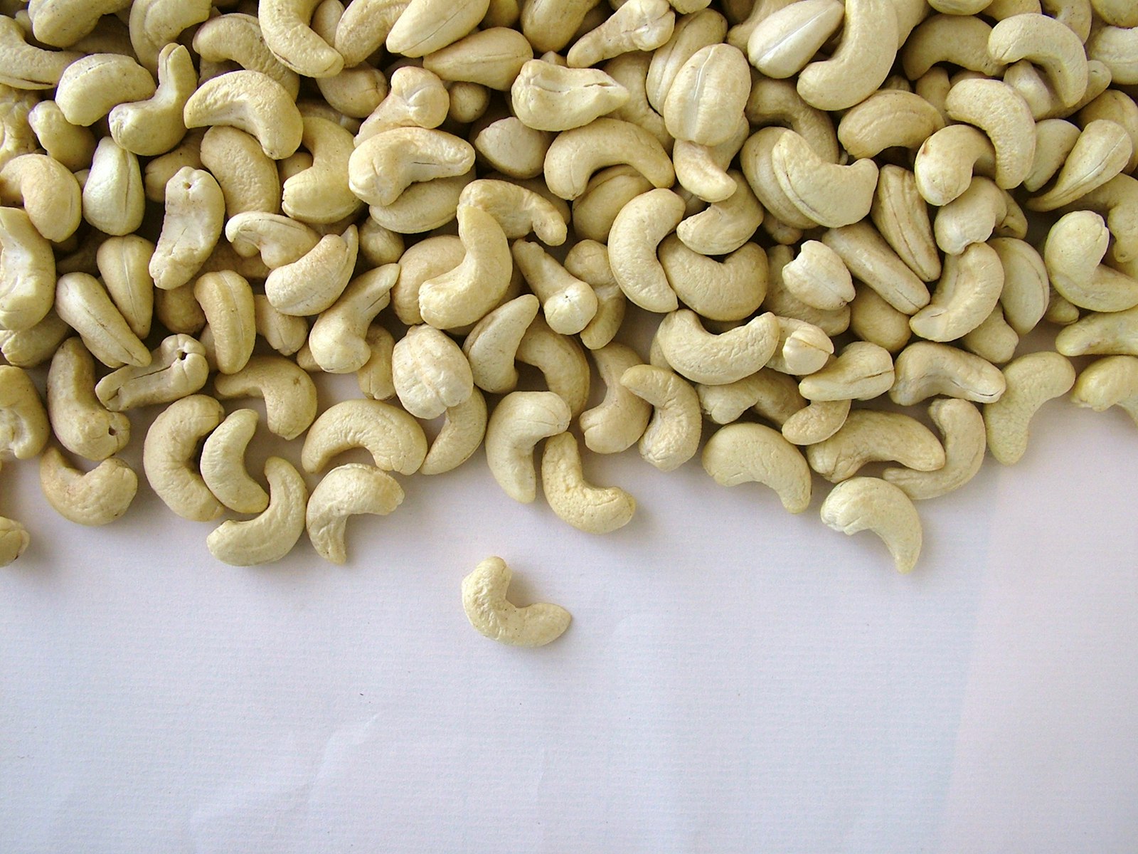 Raw Cashew Nut DW