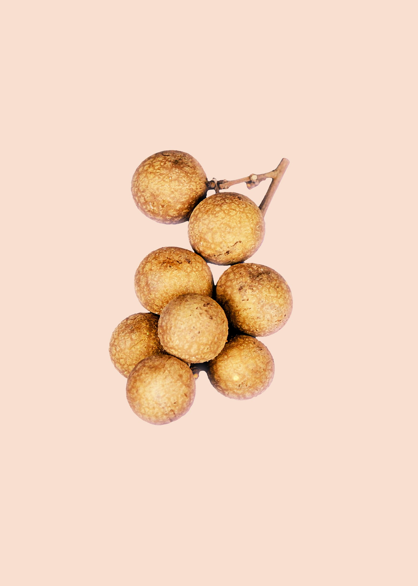 Dried Longan Premium Select