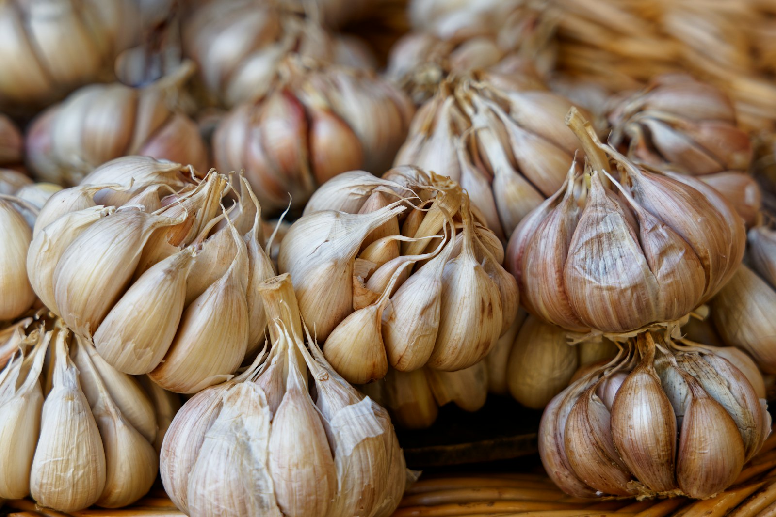 Fresh Garlic Class 2 Standard
